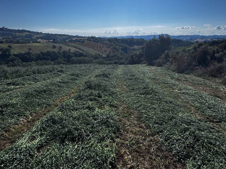 Grond in Montegiorgio, Fermo - foto 1