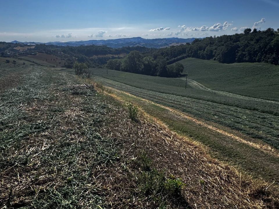 Grond in Montegiorgio, Fermo - foto 2