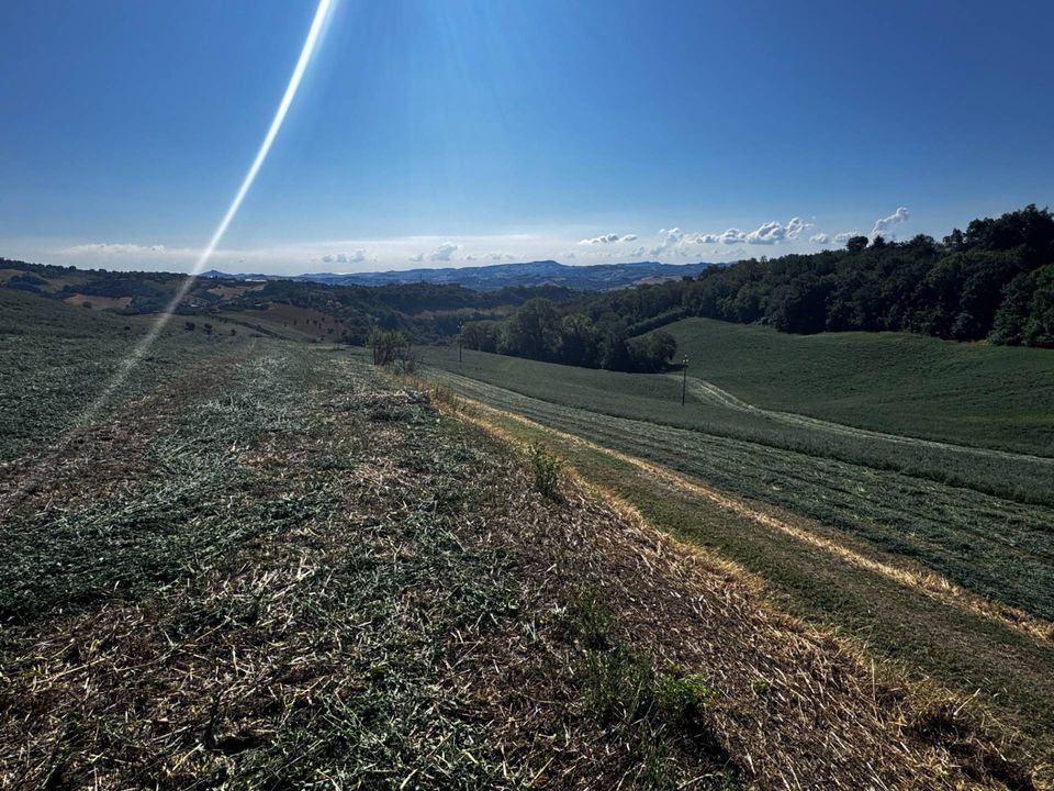 Grond in Montegiorgio, Fermo - foto 3