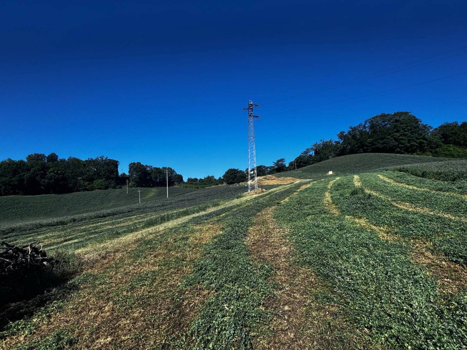 Grond in Montegiorgio, Fermo - foto 4