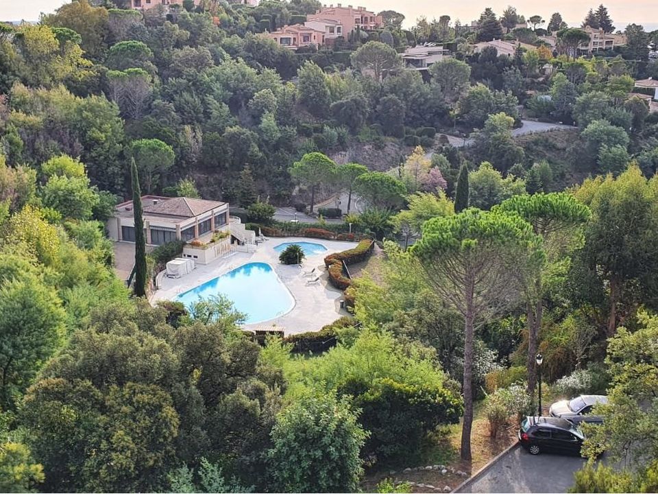 Lejlighed i Mandelieu-la-Napoule, Alpes-Maritimes - foto 1