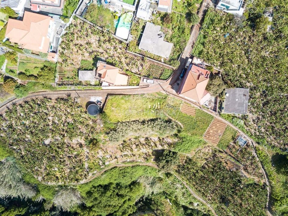Helårsgrund i Ponta do Sol, Madeira - foto 4