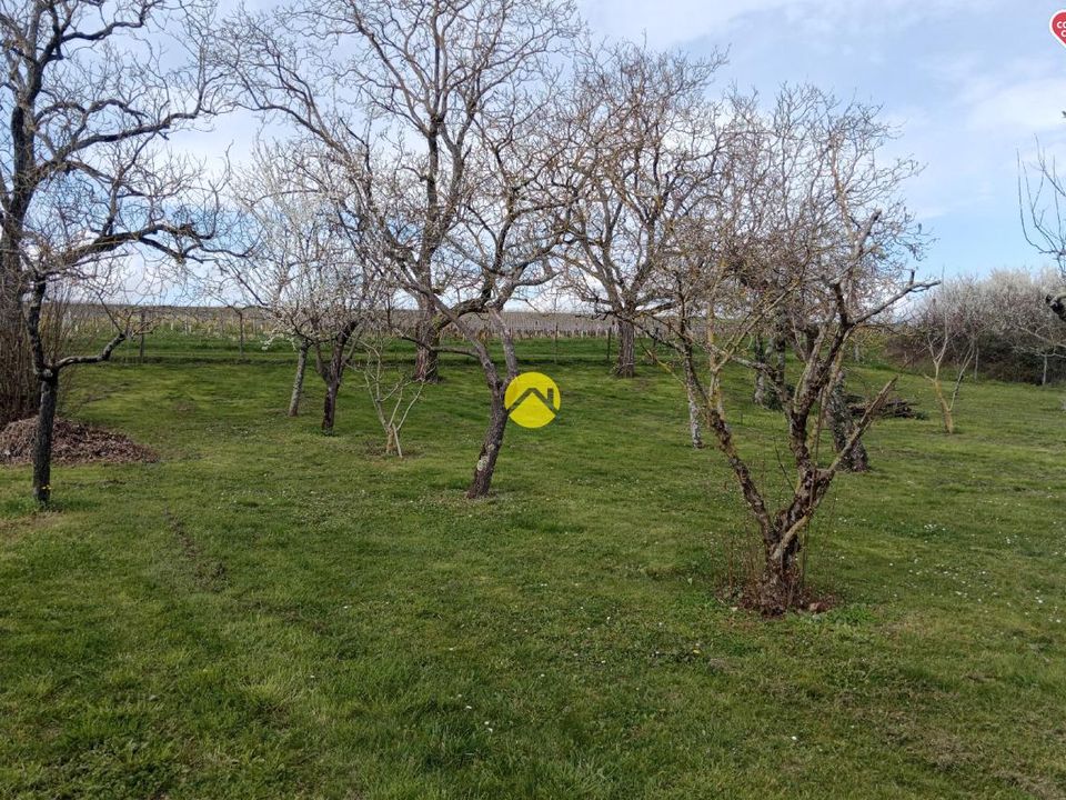 Helårsgrund i Reuilly, Indre - foto 5