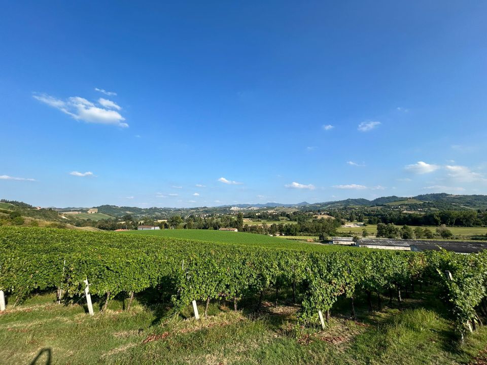 Byhus i Valsamoggia, Bologna - foto 2