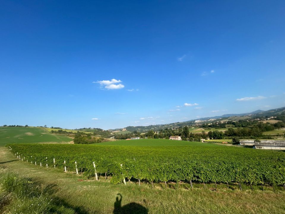 Byhus i Valsamoggia, Bologna - foto 4