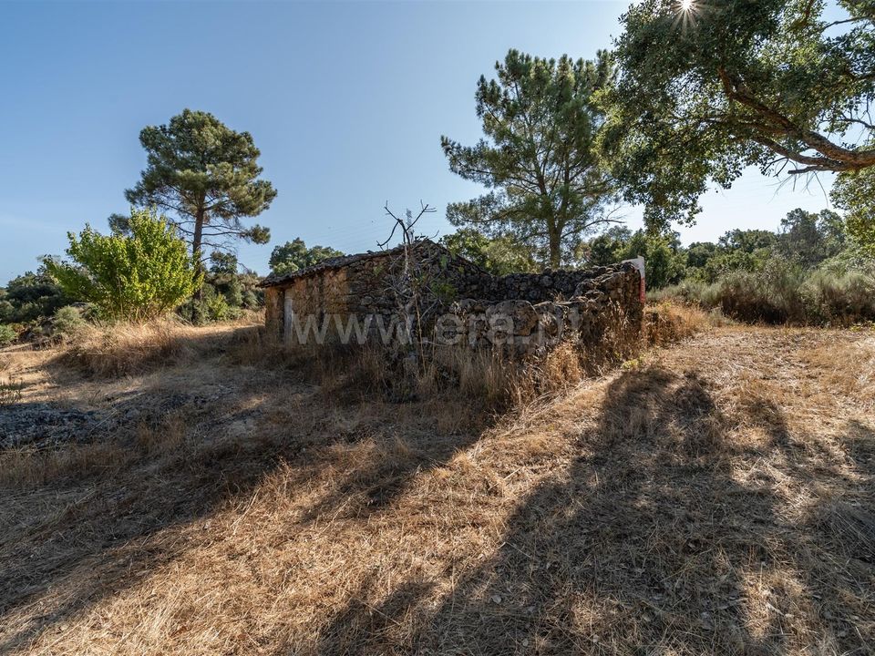 Helårsgrund i Fundao, Castelo Branco - foto 1