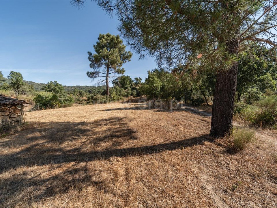 Helårsgrund i Fundao, Castelo Branco - foto 5