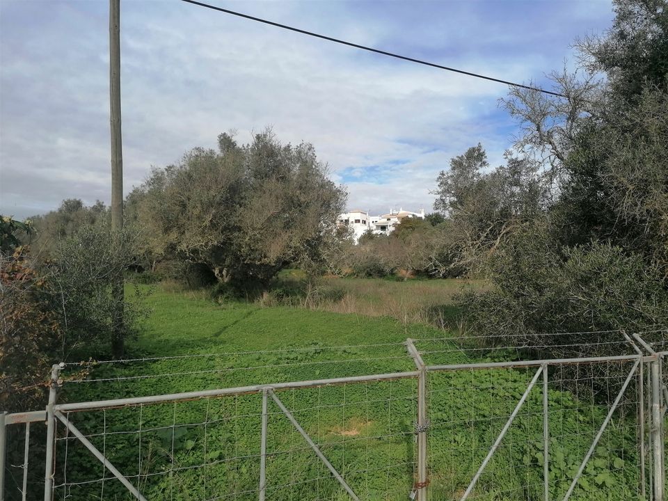 Terra a Silves, Faro - foto 5