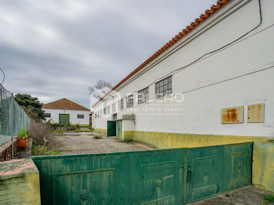 Villa in Alcanena, Santarem - photo 2