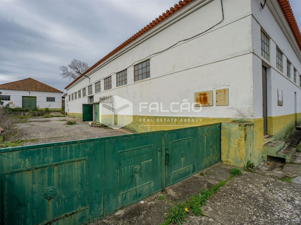 Villa in Alcanena, Santarem - photo 3