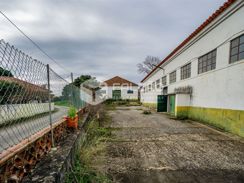 Villa in Alcanena, Santarem - photo 4