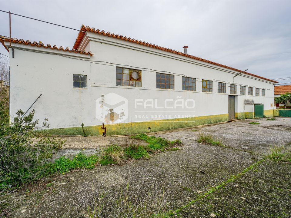 Villa in Alcanena, Santarem - photo 5