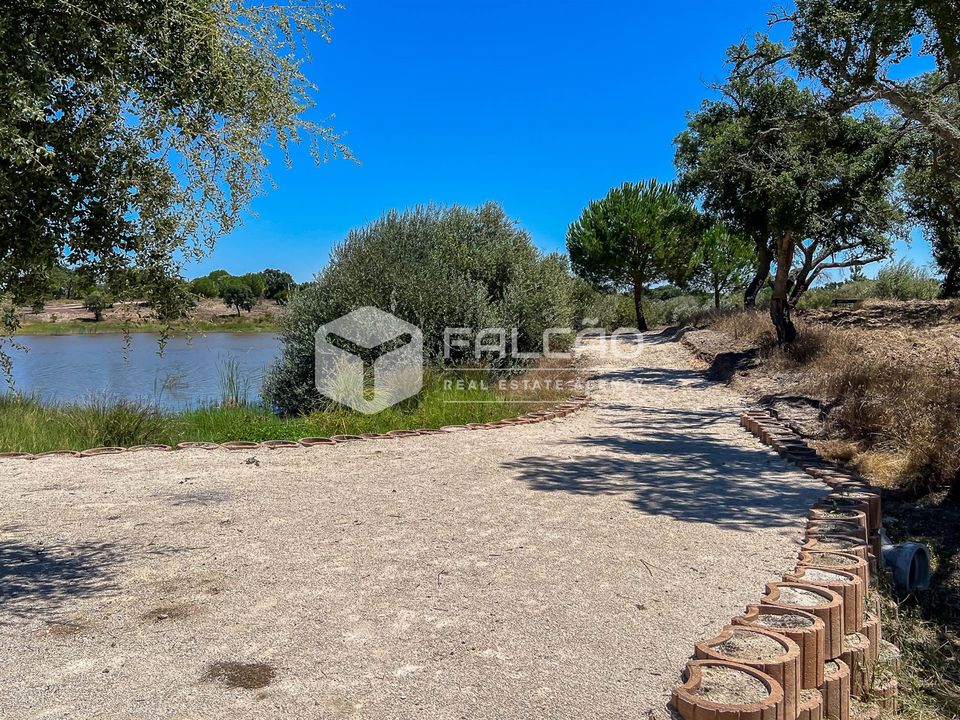 Tomt i Benavente, Santarem - bilde 1