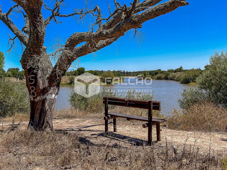 Tomt i Benavente, Santarem - bilde 2