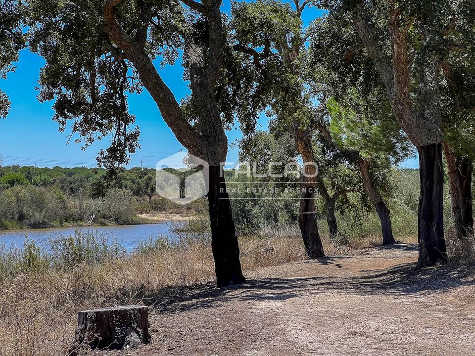 Tomt i Benavente, Santarem - bilde 3