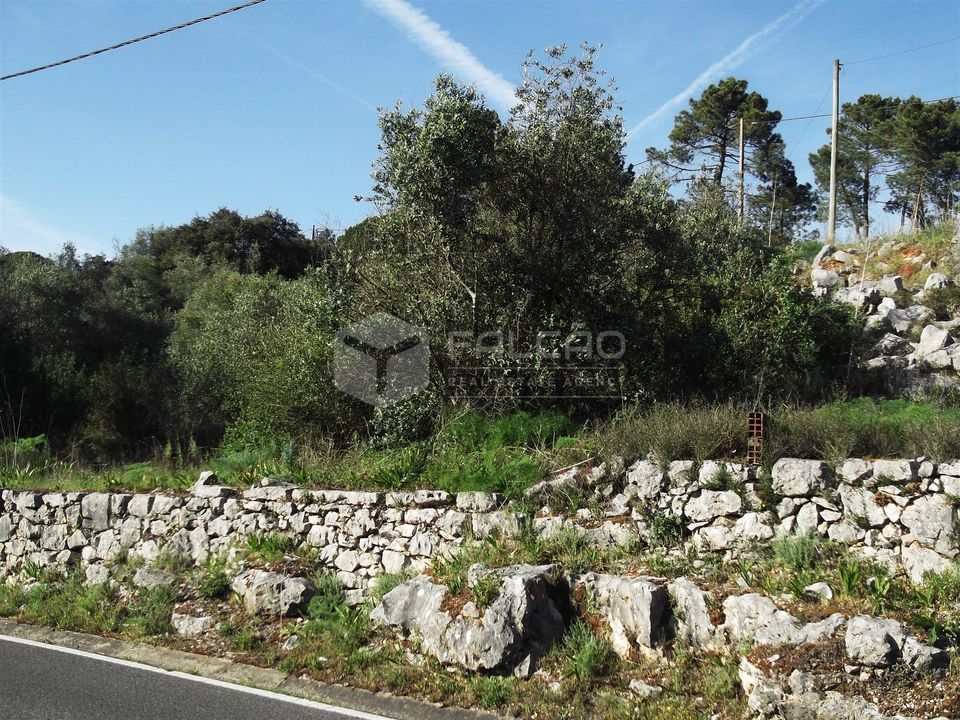 Helårsgrund i Porto de Mos, Leiria - foto 1
