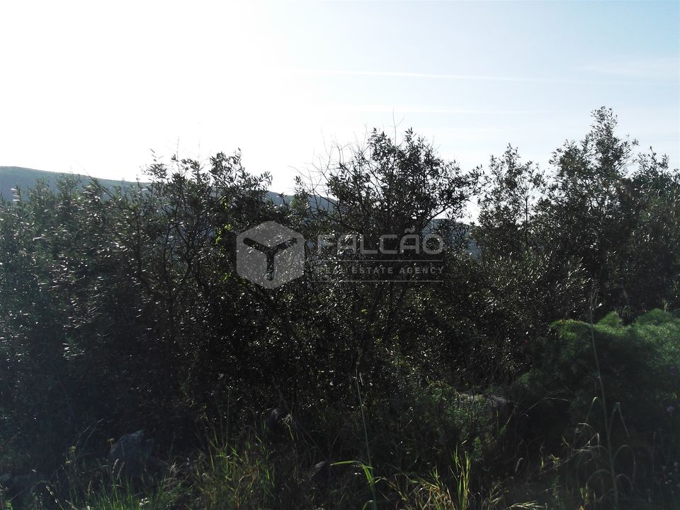 Helårsgrund i Porto de Mos, Leiria - foto 3