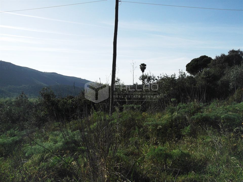 Helårsgrund i Porto de Mos, Leiria - foto 4