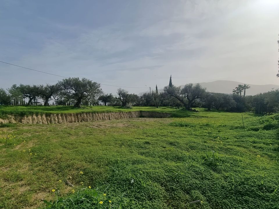 Helårsgrund i Alhaurin El Grande, Malaga - foto 4