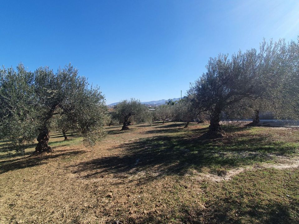 Helårsgrund i Alhaurin El Grande, Malaga - foto 4