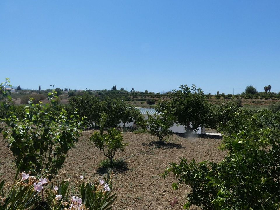 Landejendom i Alhaurin El Grande, Malaga - foto 3
