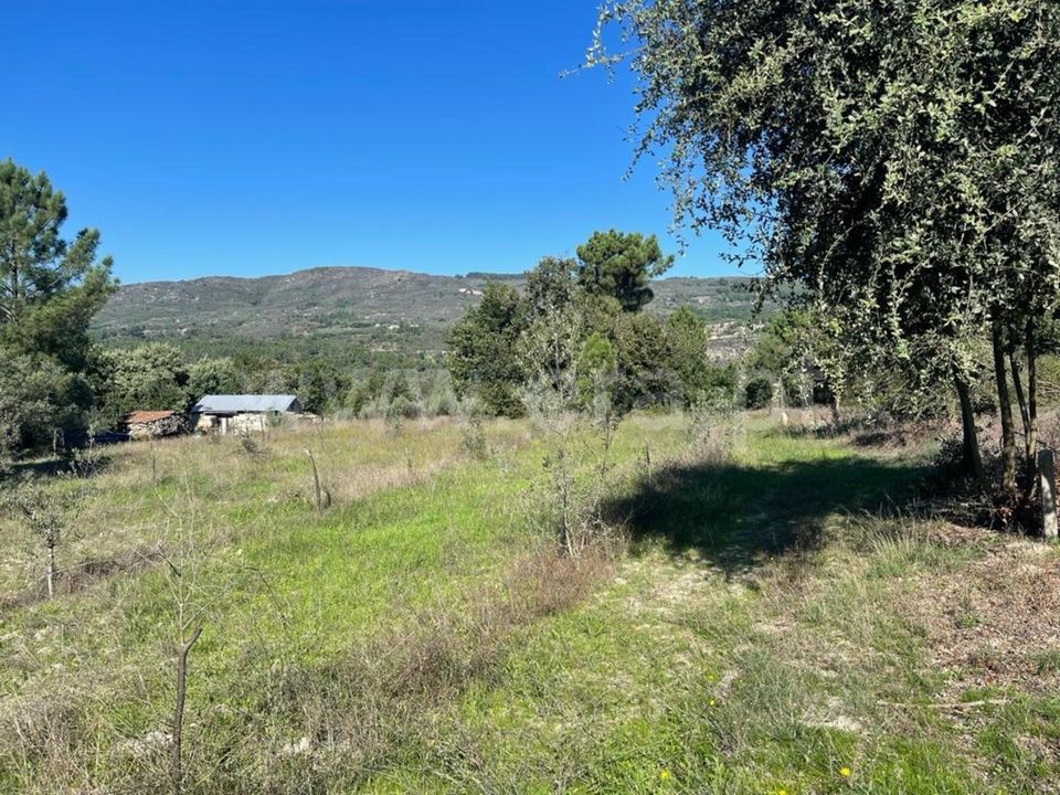 Landejendom i Mangualde, Viseu - foto 1