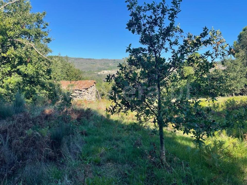 Landejendom i Mangualde, Viseu - foto 2