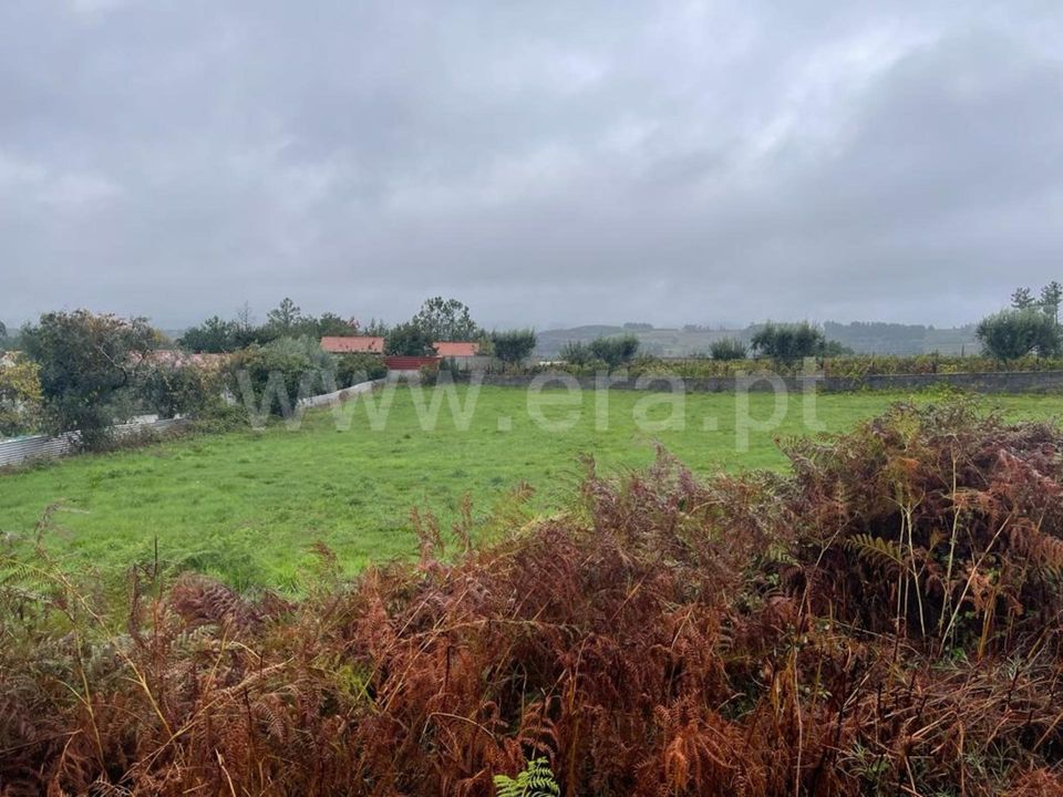 Tomt i Penalva do Castelo, Viseu - bilde 4