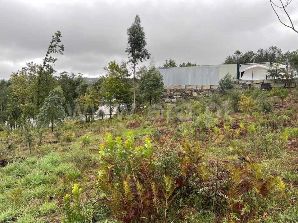 Helårsgrund i Mangualde, Viseu - foto 1