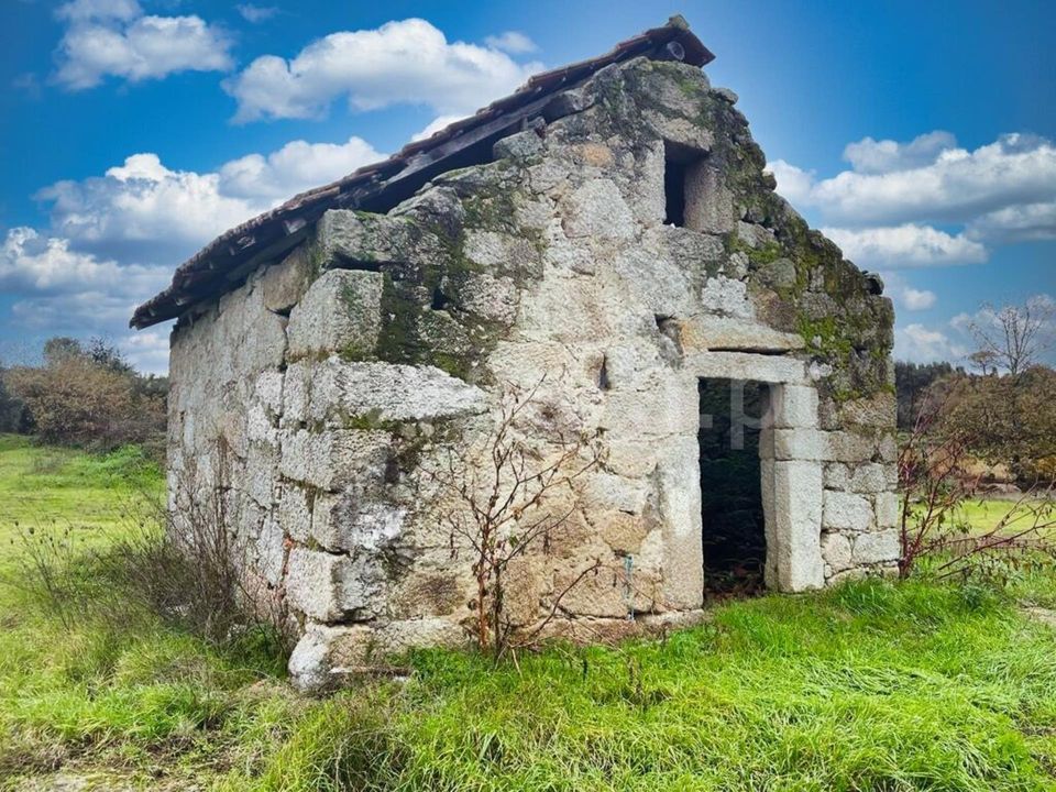 Erhvervsejendom i Mangualde, Viseu - foto 1