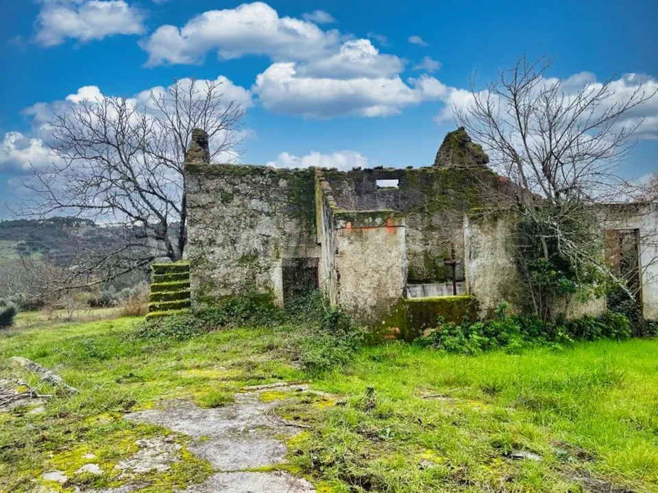 Erhvervsejendom i Mangualde, Viseu - foto 2