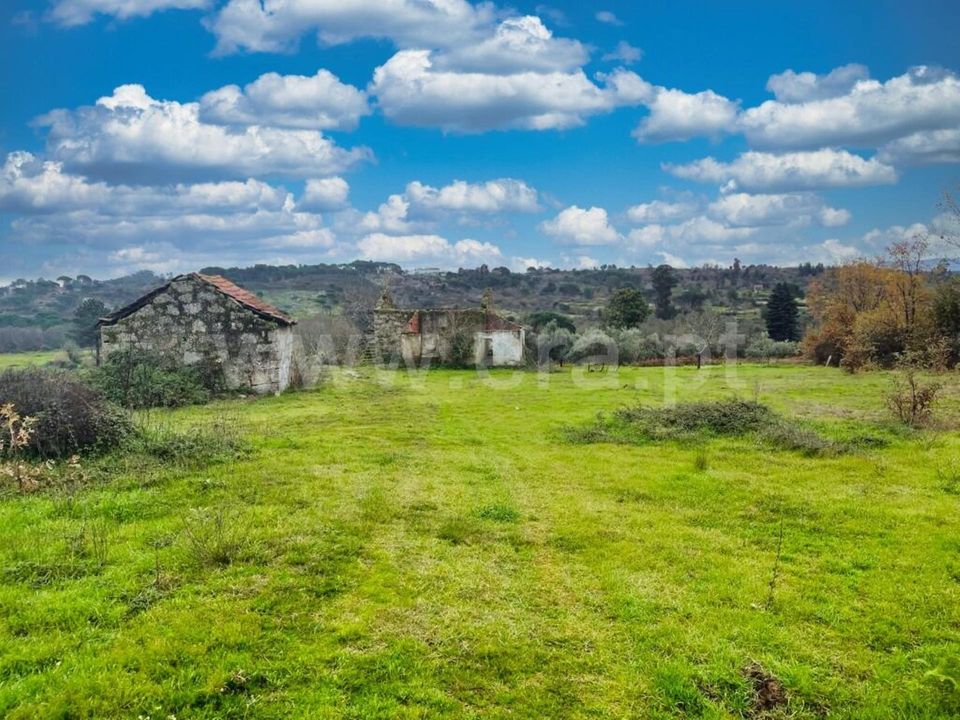 Erhvervsejendom i Mangualde, Viseu - foto 3