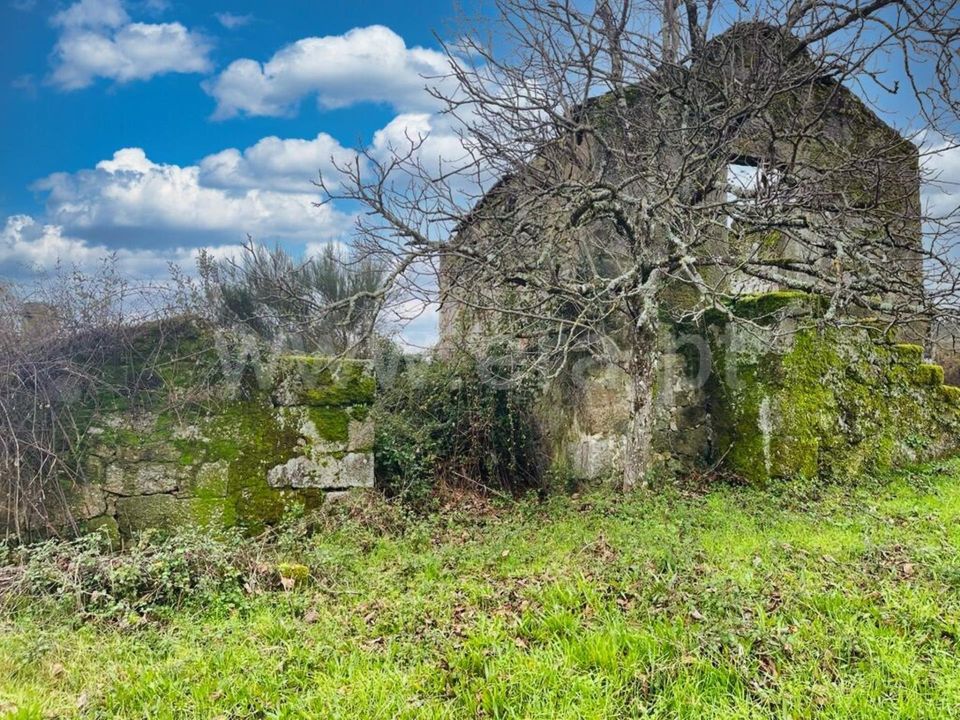 Erhvervsejendom i Mangualde, Viseu - foto 4