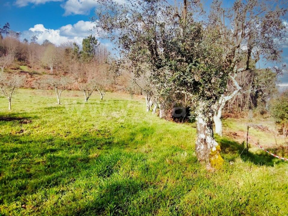 Helårsgrund i Mangualde, Viseu - foto 1