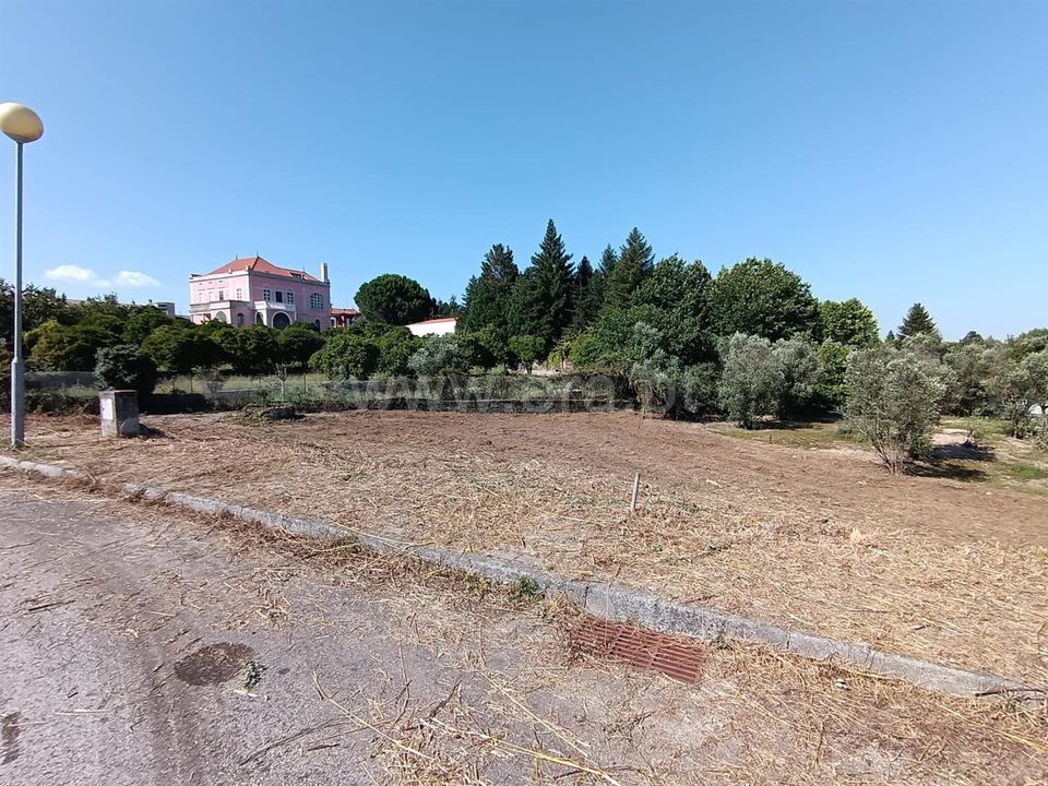 Terra a Nelas, Viseu - foto 4
