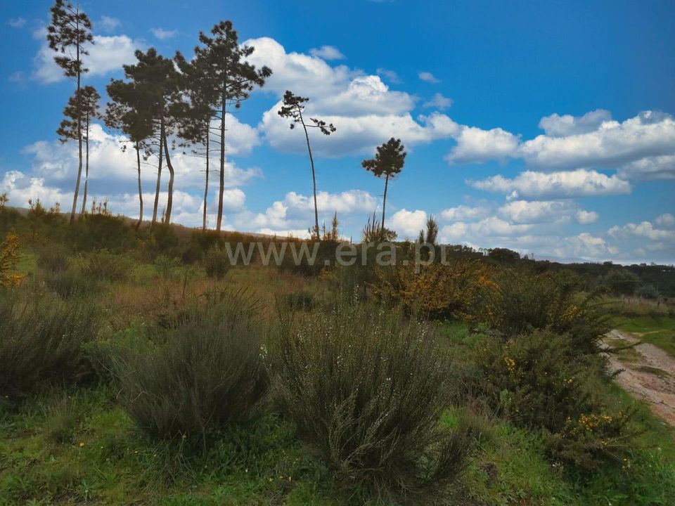Terra a Nelas, Viseu - foto 1