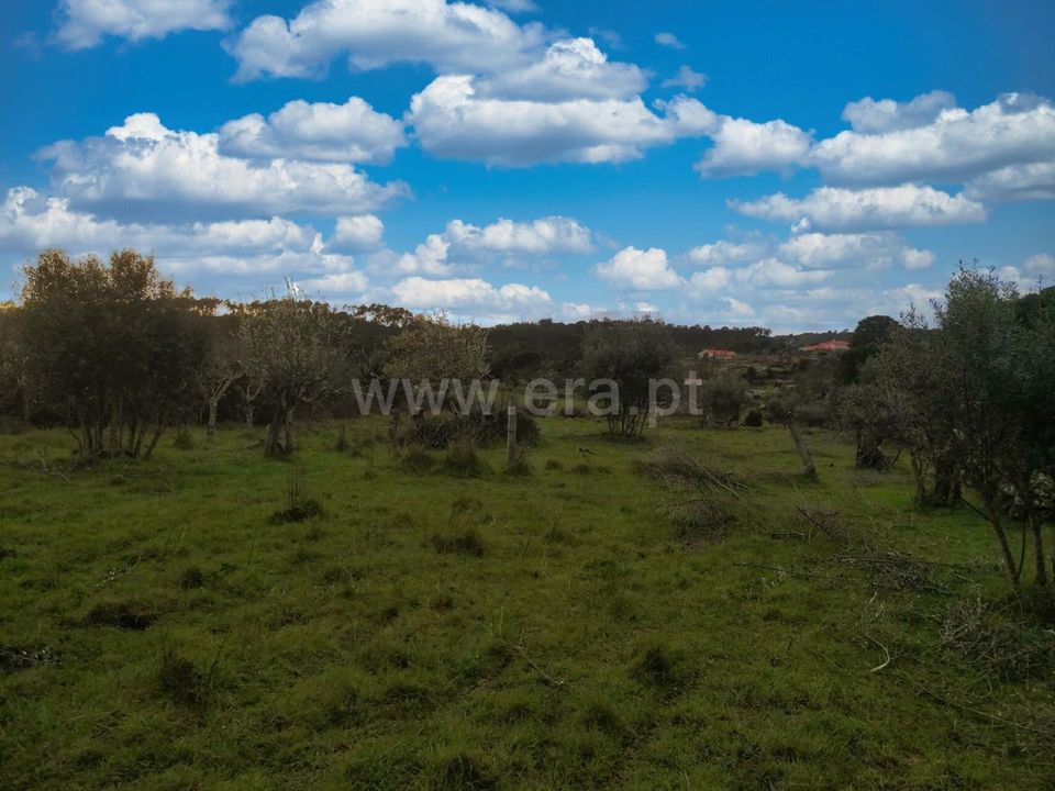 Terra a Nelas, Viseu - foto 3