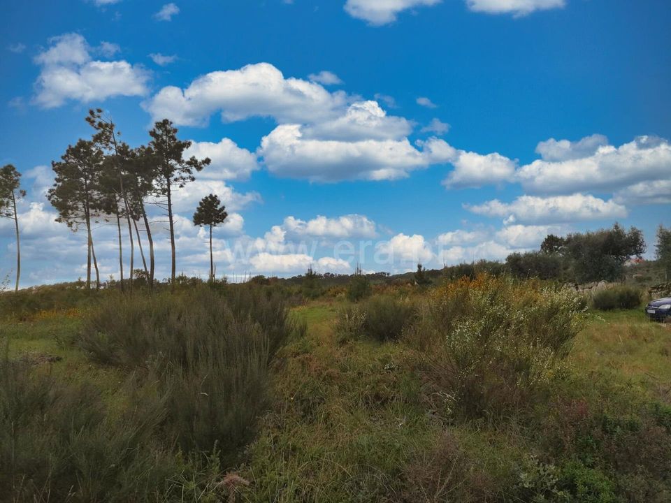Terra a Nelas, Viseu - foto 4