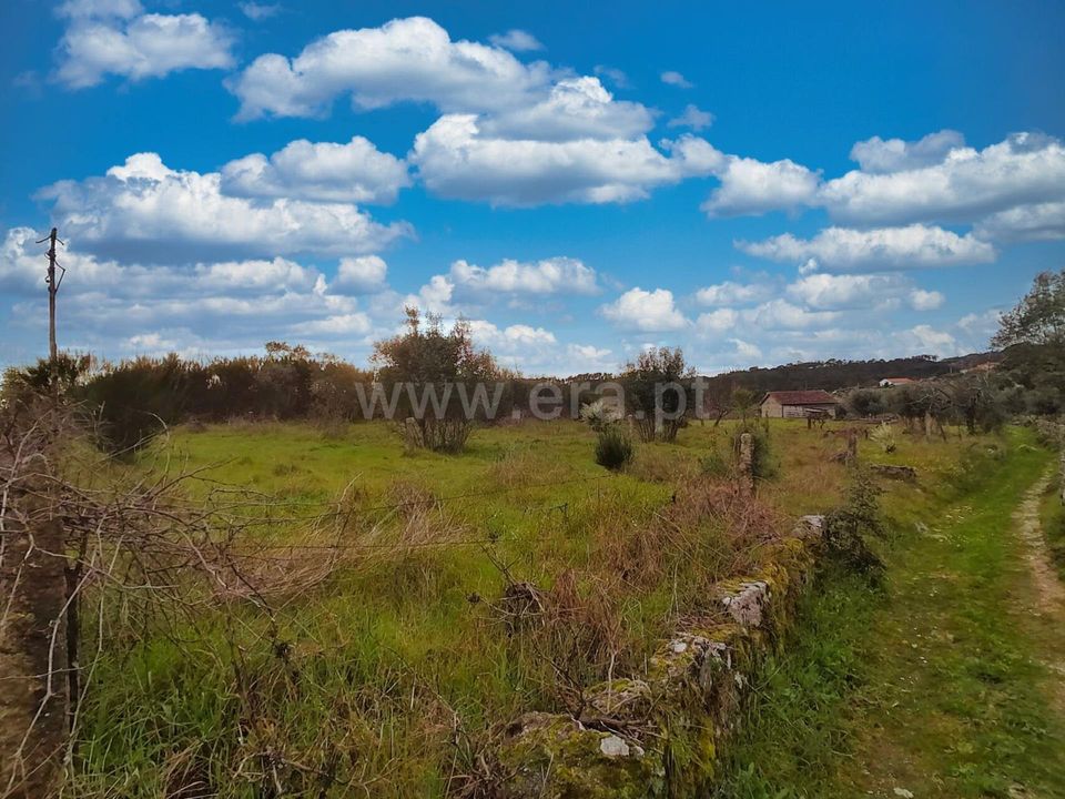 Terra a Nelas, Viseu - foto 5