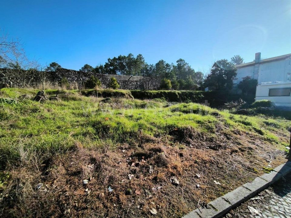 Terra em Mangualde, Viseu - foto 2