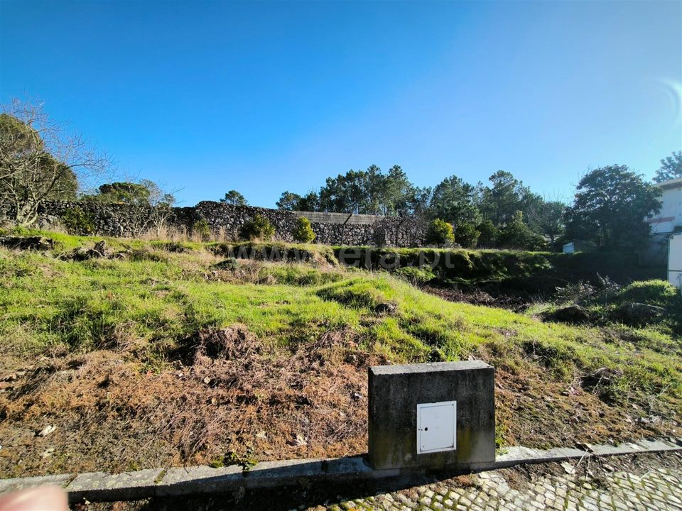 Terra em Mangualde, Viseu - foto 4