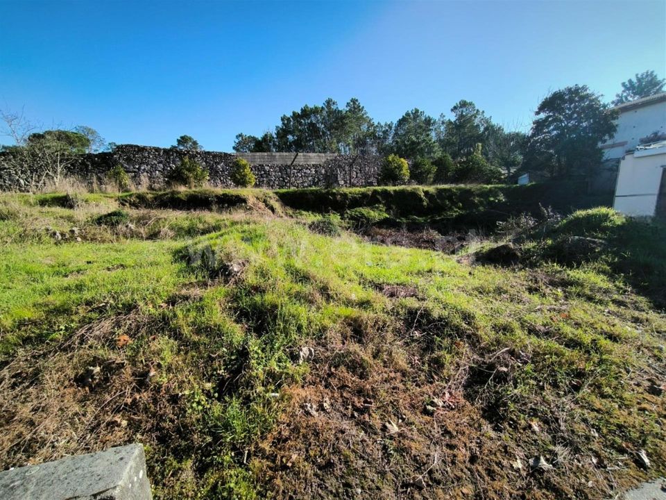 Terra em Mangualde, Viseu - foto 5