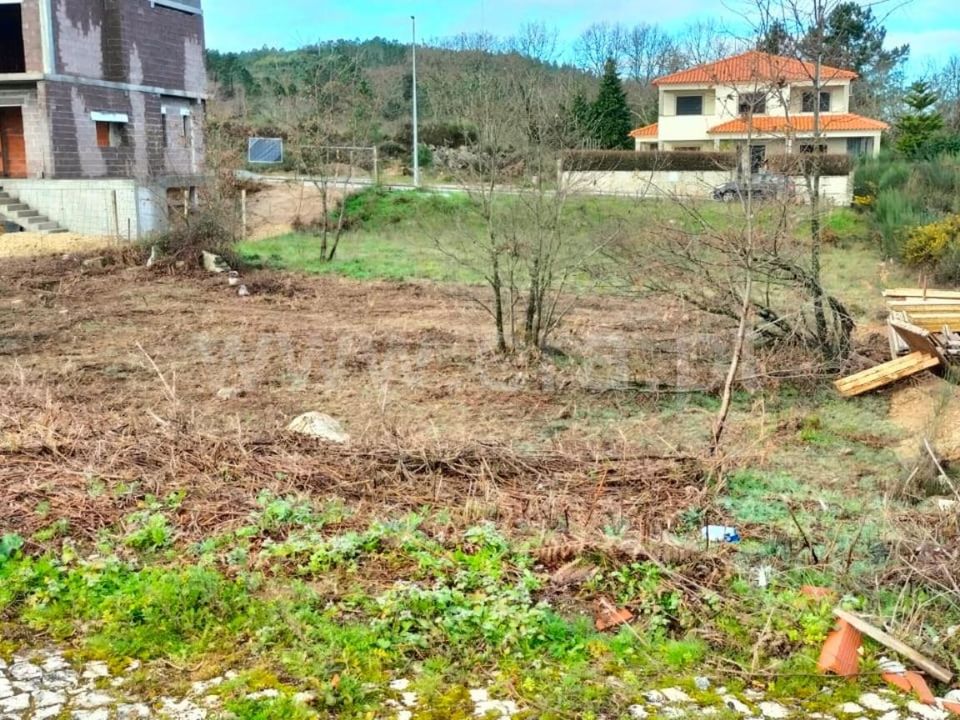 Terra em Mangualde, Viseu - foto 4