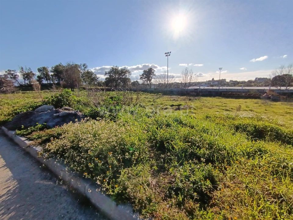 Helårsgrund i Tondela, Viseu - foto 1