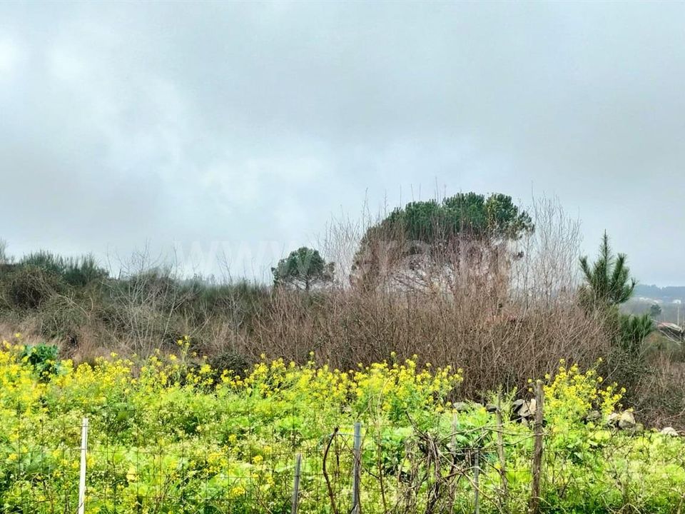Landejendom i Mangualde, Viseu - foto 2