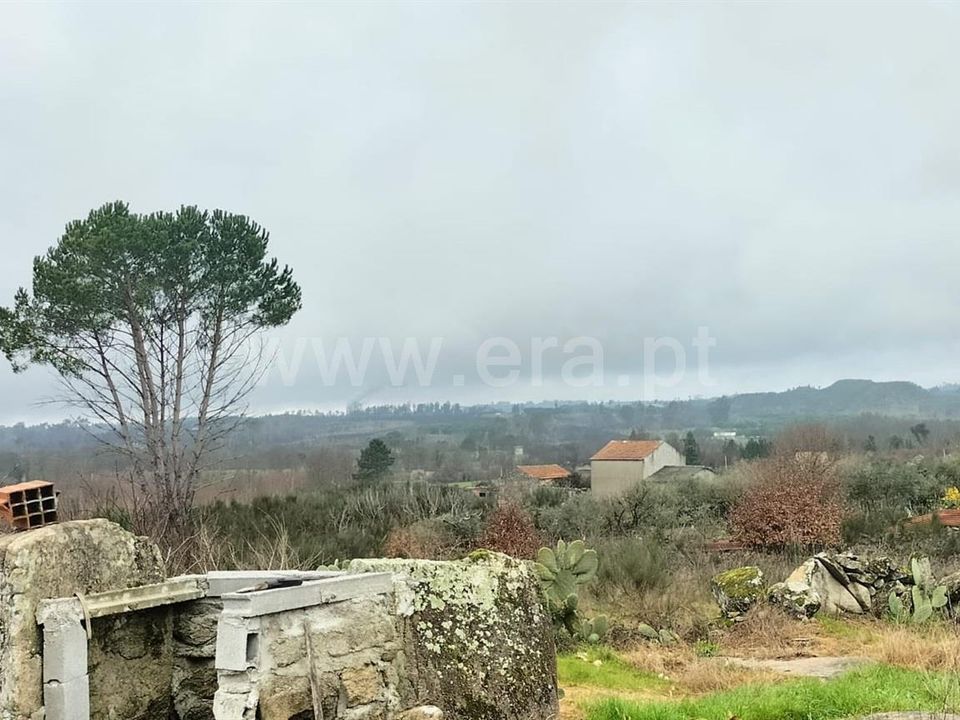 Landejendom i Mangualde, Viseu - foto 3