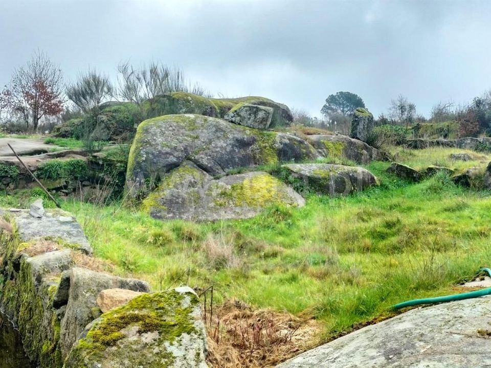 Landejendom i Mangualde, Viseu - foto 4