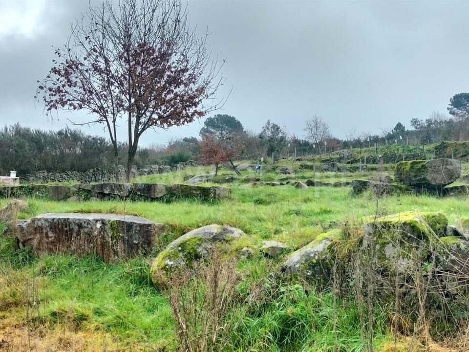 Landejendom i Mangualde, Viseu - foto 5