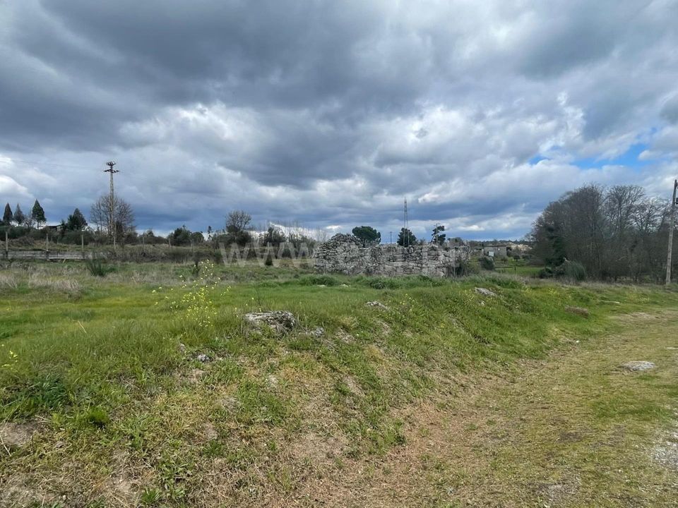Działka: Nelas, Viseu – zdjęcie 2
