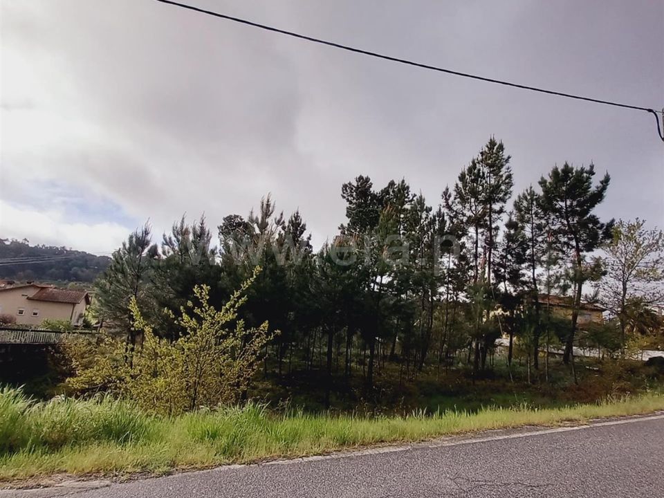 Helårsgrund i Viseu, Viseu - foto 4